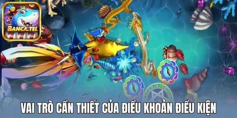 Vai trò cần thiết của điều khoản điều kiện